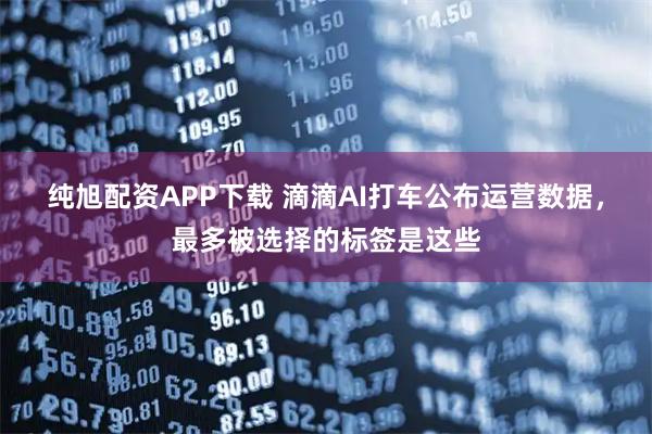 纯旭配资APP下载 滴滴AI打车公布运营数据,最多被选择的标签是这些