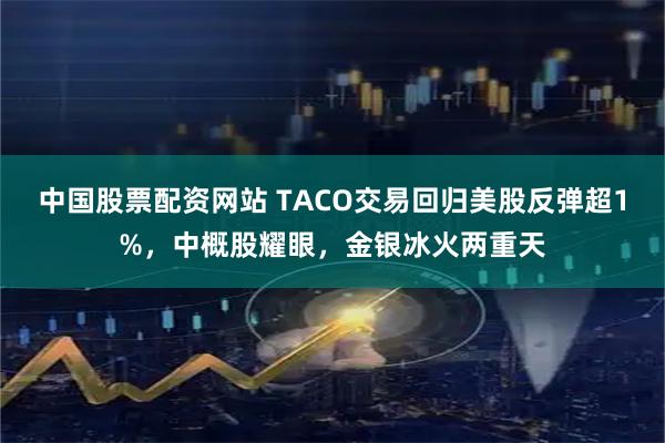 中国股票配资网站 TACO交易回归美股反弹超1%，中概股耀眼，金银冰火两重天