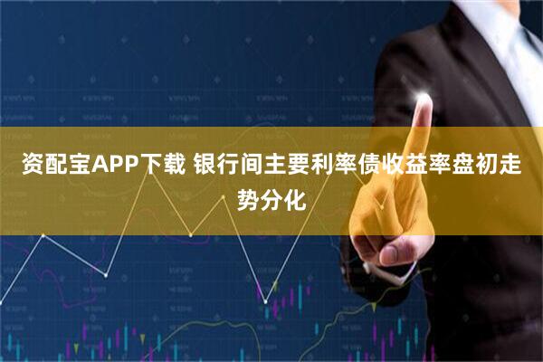 资配宝APP下载 银行间主要利率债收益率盘初走势分化